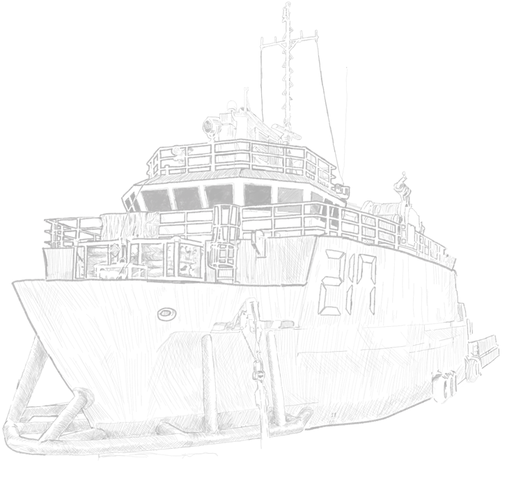 vessel overlay image