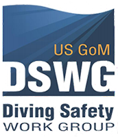 /_assets/img/DSWG_logo_resized.png logo